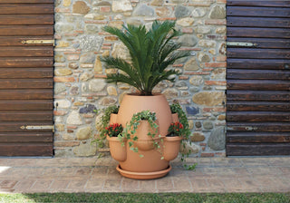  || https://assets.gardeners.com/transform/15cc6919-2e9a-4d80-a094-e506afbf2320/8611945_01V-tif