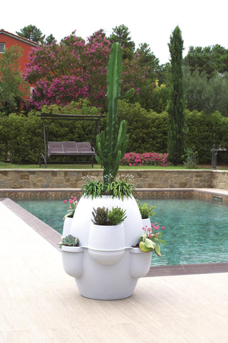  || https://assets.gardeners.com/transform/7d21cf89-5ed1-4b84-b709-d02cdd2a43f1/8611945_04V-tif