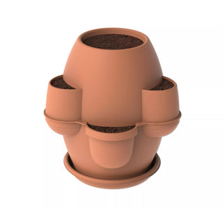  || https://assets.gardeners.com/transform/1d06ad41-da7d-42d9-bf0a-a7a8207b3632/8611945_07V-tif