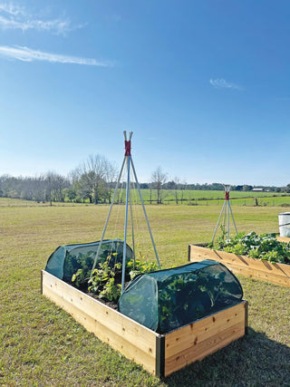  || https://assets.gardeners.com/transform/56710271-67d8-4348-84ae-c1b60f01665a/8611985_10-tif