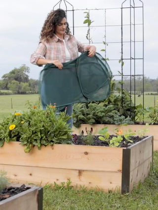  || https://assets.gardeners.com/transform/c7353008-804f-4275-a06e-8f9319936e56/8611985_8389-tif