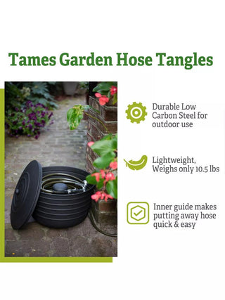  || https://assets.gardeners.com/transform/9cd2d052-10c7-4876-905b-3f41ef732e7f/8611991_03