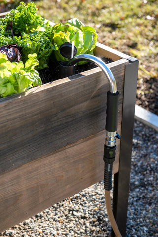  || https://assets.gardeners.com/transform/94c78993-5d6e-45de-a903-edfaf21cf43b/8611997_171-tif