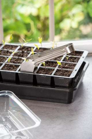  || https://assets.gardeners.com/transform/01b6eec1-b759-42ec-8508-95a8b7696e35/8612047_020-tif