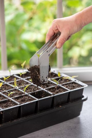  || https://assets.gardeners.com/transform/af83046c-e50a-4da3-8cf3-a05db80c6dd5/8612047_026-tif