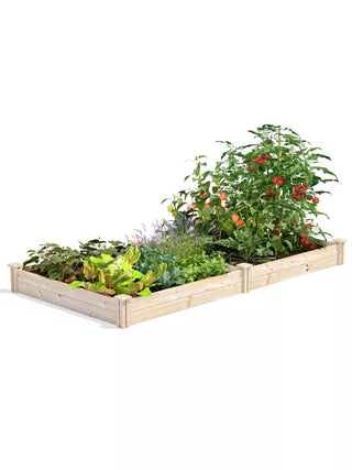  || https://assets.gardeners.com/transform/5e931ee5-4738-4253-8128-97ba6b0e173e/8612239_02V