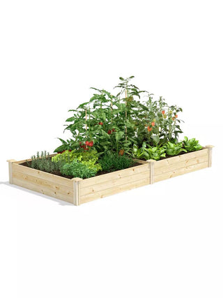  || https://assets.gardeners.com/transform/d7fbf7b3-2a84-4f1b-a937-f994308f6f6c/8612240_02V