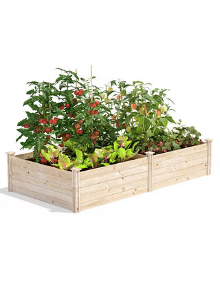 || https://assets.gardeners.com/transform/b436aab4-5bd3-40e8-8b0a-b9fe16401fe4/8612241_02V