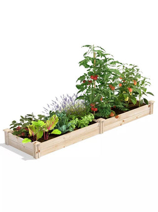  || https://assets.gardeners.com/transform/21a0c01f-9f91-4fd5-a19a-3e61fe4339ea/8612243_02V