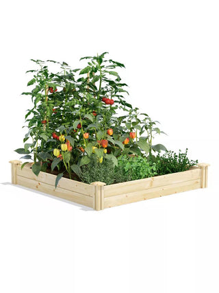  || https://assets.gardeners.com/transform/b39563fd-1dd1-4b10-91d0-c63434c01856/8612249_08V_3-4