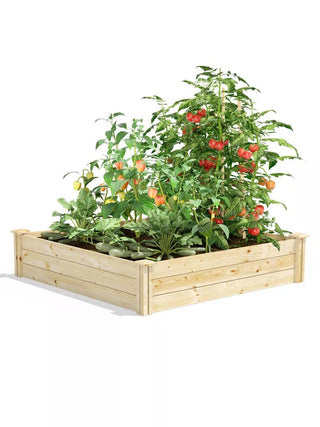  || https://assets.gardeners.com/transform/45fb8527-a52e-45cc-99b2-fb1f6a6e27c8/8612250_03V_3-4