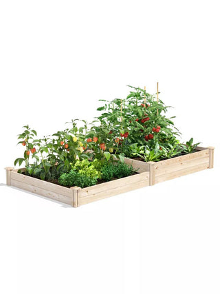  || https://assets.gardeners.com/transform/a4fce72d-06c3-469d-a634-1fcb5b3abfe5/8612253_02V_3-4