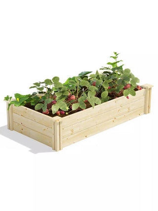  || https://assets.gardeners.com/transform/b537b58c-a976-4742-8274-17a57ac90231/8612256_06V_3-4