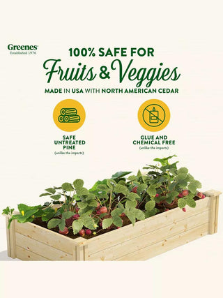  || https://assets.gardeners.com/transform/d08315d5-af8b-44bb-9be2-bc82bcdcff39/8612256_08V_3-4