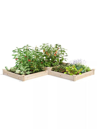  || https://assets.gardeners.com/transform/ec1bb78a-6bbd-4ab5-b696-6eb0b6462fc2/8612257_07V_3-4