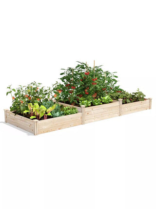  || https://assets.gardeners.com/transform/44d17758-4b67-4b90-9366-463fdaac459b/8612258_07V_3-4