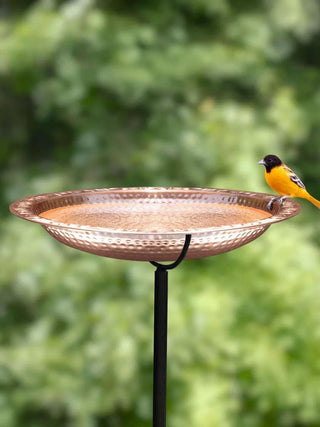  || https://assets.gardeners.com/transform/e8ce9556-02a2-4887-a10d-062179fe3010/8612271_01V_copper-birdbath-18-inch-with-stake