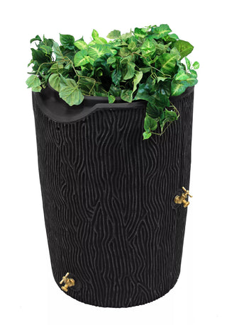 || https://assets.gardeners.com/transform/3159a70c-0480-4f9b-a020-91ff435aa3dc/8612301_01V-jpg