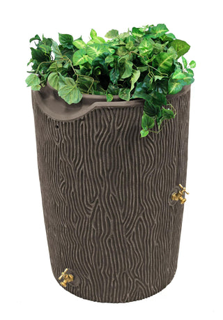  || https://assets.gardeners.com/transform/1d0ec870-cc33-48c2-9238-4bf3aafdaa10/8612301_02V-jpg