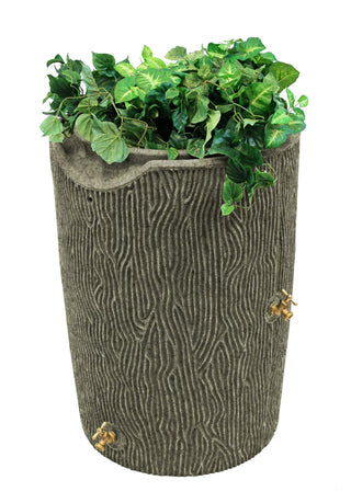  || https://assets.gardeners.com/transform/a4f3a318-f7a6-49b7-a94a-b1cfc111860c/8612301_03V-jpg