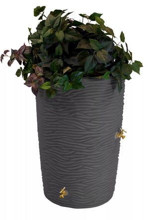  || https://assets.gardeners.com/transform/8045b422-1ee0-40fc-b057-61287b9241c6/8612305_01V-jpg