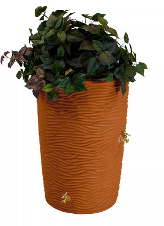  || https://assets.gardeners.com/transform/45388494-e3d3-4e45-b824-36e470ccabd0/8612305_03V-jpg