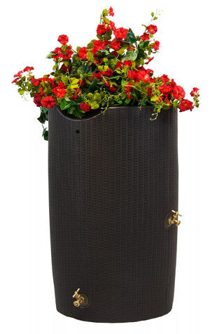  || https://assets.gardeners.com/transform/8016e8c4-8116-4dec-9531-ecc04b3a2dda/8612316_01V-jpg