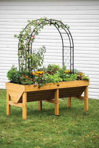  || https://assets.gardeners.com/transform/3e3dee26-dfe0-4f85-a8bb-a50b580677c3/8612339_014-tif