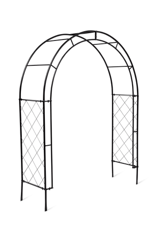  || https://assets.gardeners.com/transform/bb1a871c-2595-4750-acd4-908f71c3e669/8612339_5197-tif