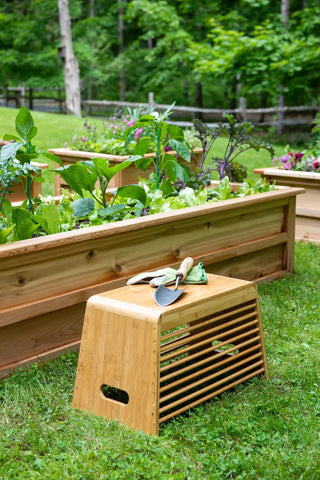  || https://assets.gardeners.com/transform/4d7049f3-58bc-4650-a3ce-916540ea4ebc/8612425_0155-tif