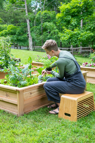  || https://assets.gardeners.com/transform/a462947e-fd8b-4073-8b65-dc78568821cc/8612425_0156-tif