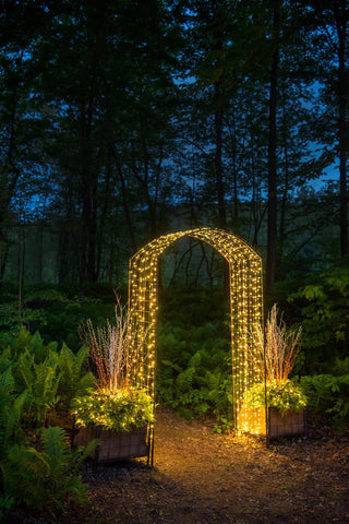  || https://assets.gardeners.com/transform/bb3d9c5a-4441-412a-a49e-c046eb2462f6/8612638_0102-tif