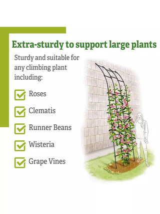  || https://assets.gardeners.com/transform/c0bfed2f-748e-4938-9958-57c7706f51d8/8612660_4