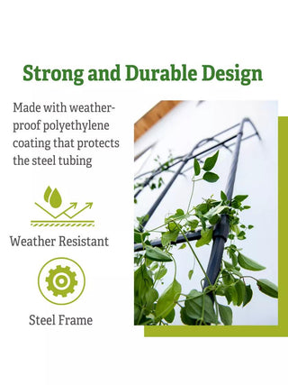  || https://assets.gardeners.com/transform/3699365c-3d7d-40aa-a520-3f2ca0f16cf9/8612660_5
