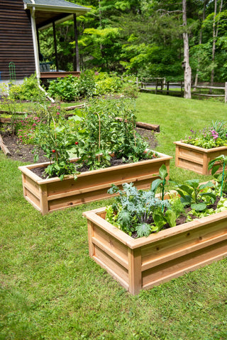  || https://assets.gardeners.com/transform/67c6fa75-f05b-435b-9462-878549f49968/8612711_0136-tif