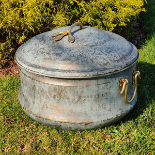  || https://assets.gardeners.com/transform/1ca2e5a5-fcc8-47ab-9fe3-c964f7656d65/8612734_01V-tif
