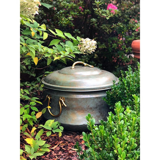  || https://assets.gardeners.com/transform/40fbbed1-dbb3-492c-9c40-5248e6a36dc2/8612734_02V-tif