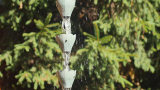  || https://assets.gardeners.com/transform/103706b1-1bdc-43f0-ad0c-b4cbfc09b92c/8612740_04V-tif