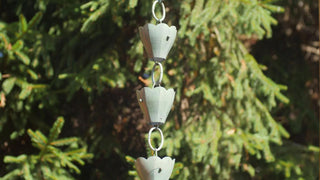  || https://assets.gardeners.com/transform/fd760751-f829-4017-b3f1-8e0fd8126055/8612740_05V-tif