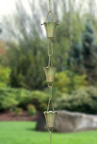  || https://assets.gardeners.com/transform/2d473ad7-864e-4d7e-9213-2045495b6591/8612742_01V-tif