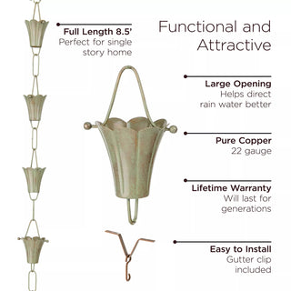  || https://assets.gardeners.com/transform/e3166a85-aa32-4b61-84d4-52088f2753c0/8612742_03V-tif