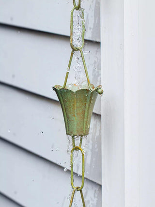  || https://assets.gardeners.com/transform/d63d19d2-8048-43c3-806c-cf94238e4f1c/8612742_04V-tif