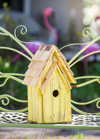  || https://assets.gardeners.com/transform/faa1f827-373d-498c-82ec-4a7a12479d6b/8612767_03V-tif
