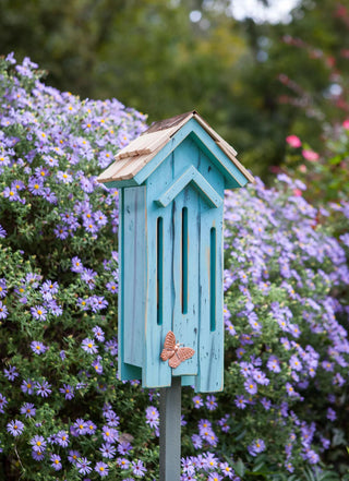  || https://assets.gardeners.com/transform/764013e6-b68c-41c7-bc94-9d4cacf330e7/8612769_01V-tif