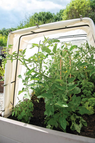 Metal Medium Garden Clips 2.25", Set of 18