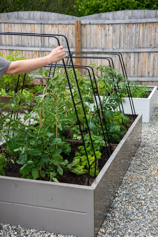 || https://assets.gardeners.com/transform/9518f875-cd68-45a6-9ed2-ed0b63684f7b/8612816_0033_zenith-garden-hoops-tif
