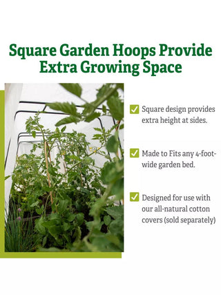  || https://assets.gardeners.com/transform/d806c8b3-126e-4097-bb20-5229993597b8/8612816_4