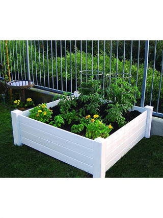  || https://assets.gardeners.com/transform/390d6564-04d2-4d00-a610-c435be701024/8612825_01V