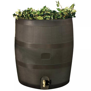  || https://assets.gardeners.com/transform/446ff7c6-0d17-4ae5-9a39-bc87fa2979db/8612856WALNT_01V-tif