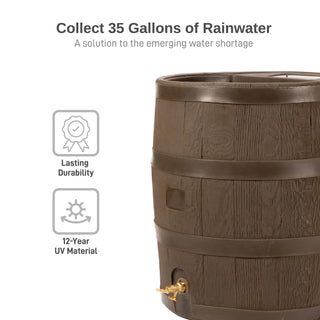  || https://assets.gardeners.com/transform/1b6d7d44-5582-4fc7-9635-e1b93a654779/8612856WALNT_02V